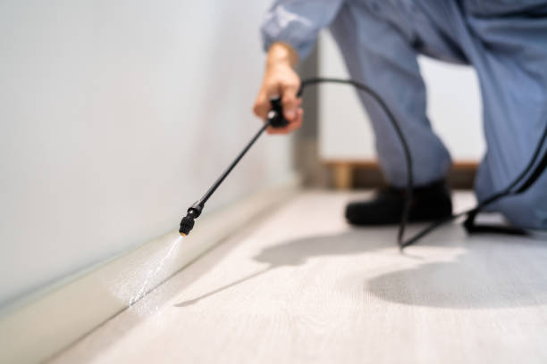 Licensed Fumigation Services service in Wrightwood, CA - Nex Pest Control